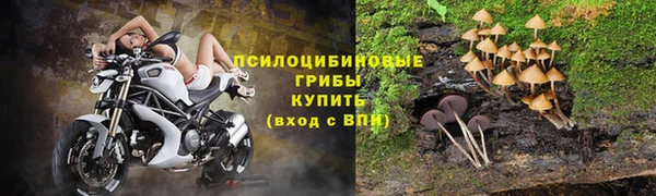 гидропоника Михайловск