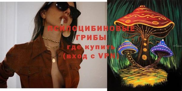 гидропоника Михайловск