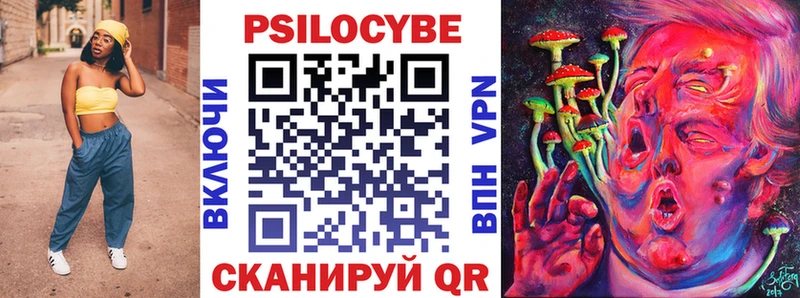 Галлюциногенные грибы прущие грибы  omg как войти  Сусуман 